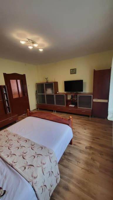Casa In Oradea ! Villa Eksteriør bilde